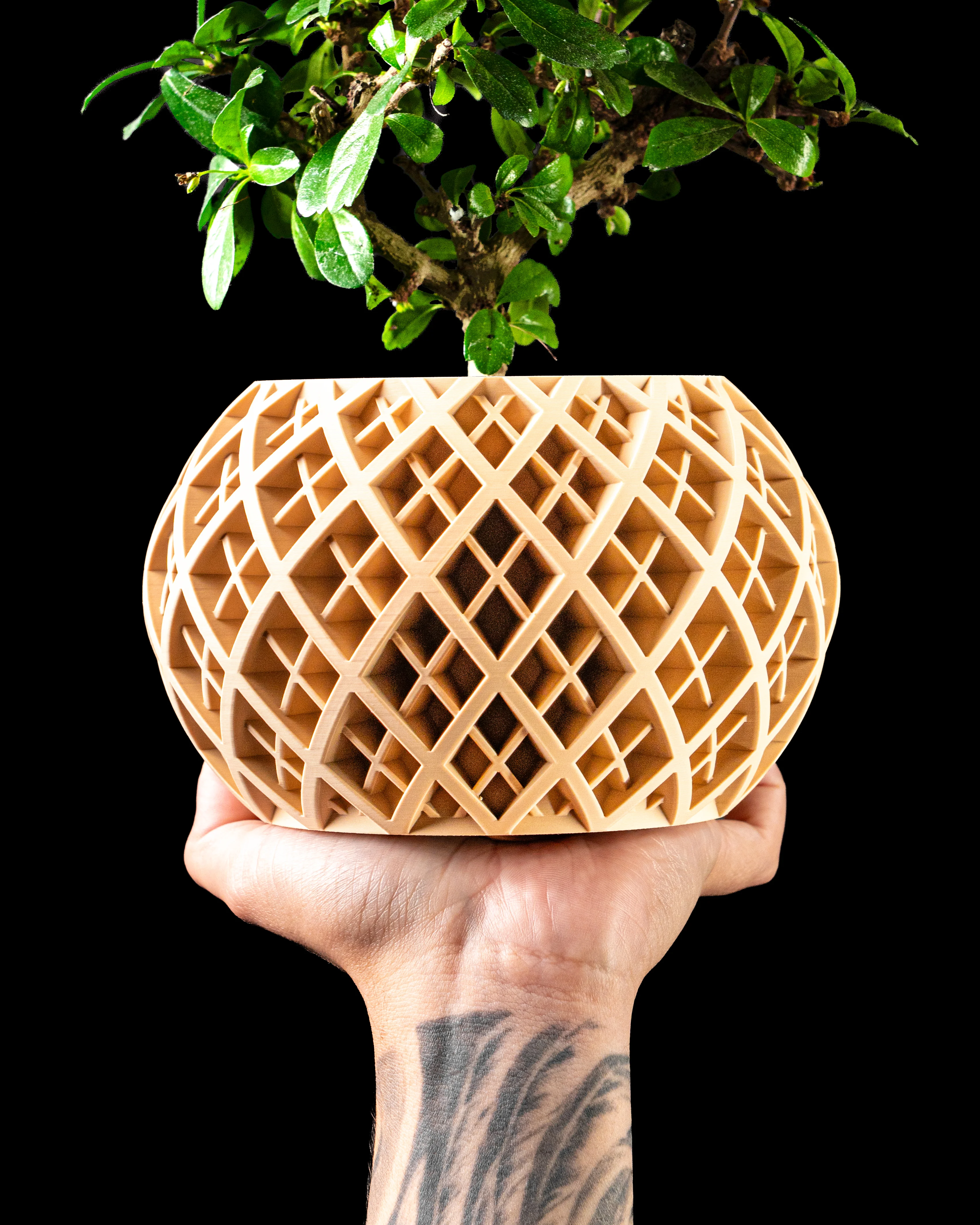 Planter Pot 004 by MODERN MACHINE 3d model