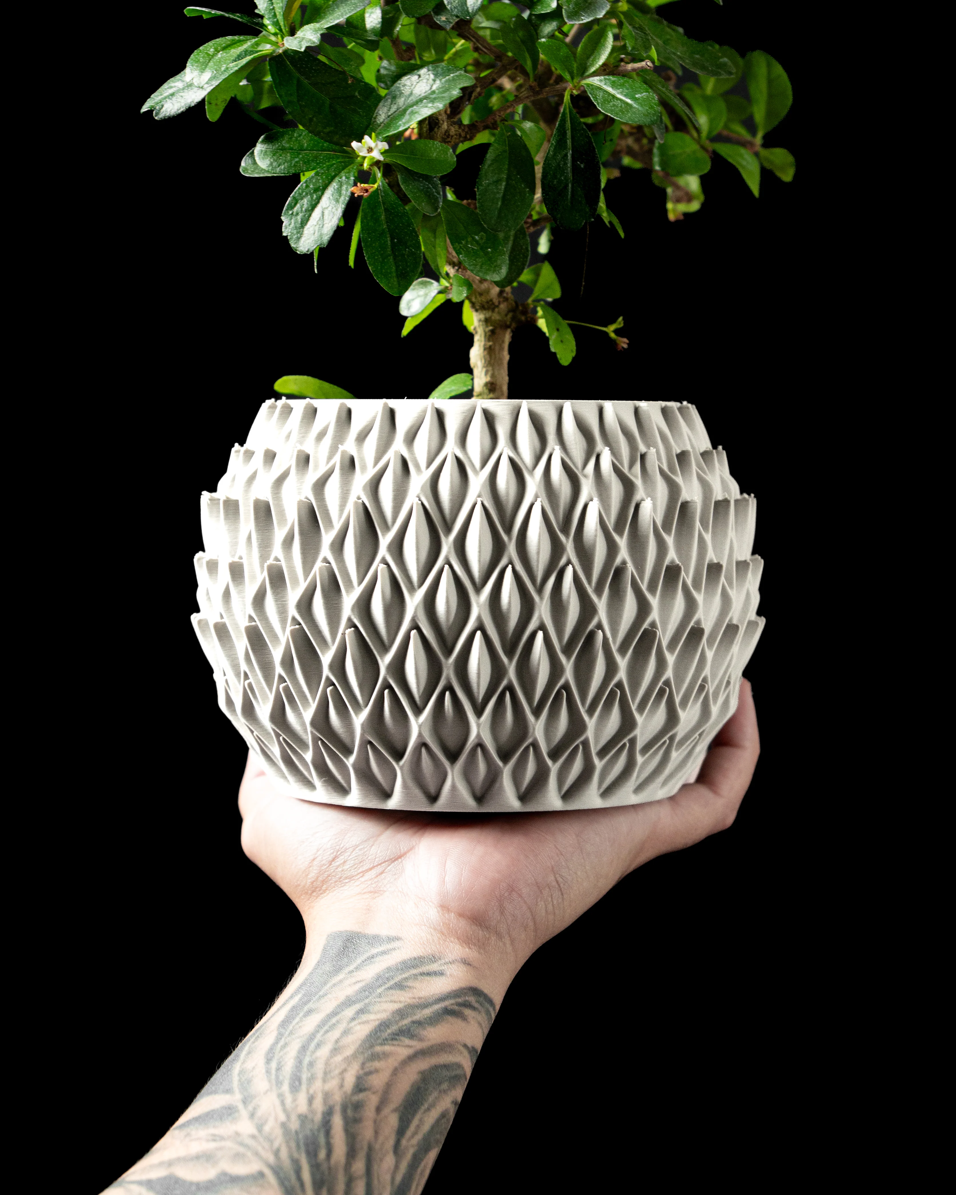 Petal Planter Pot by MODERN MACHINE 3d model