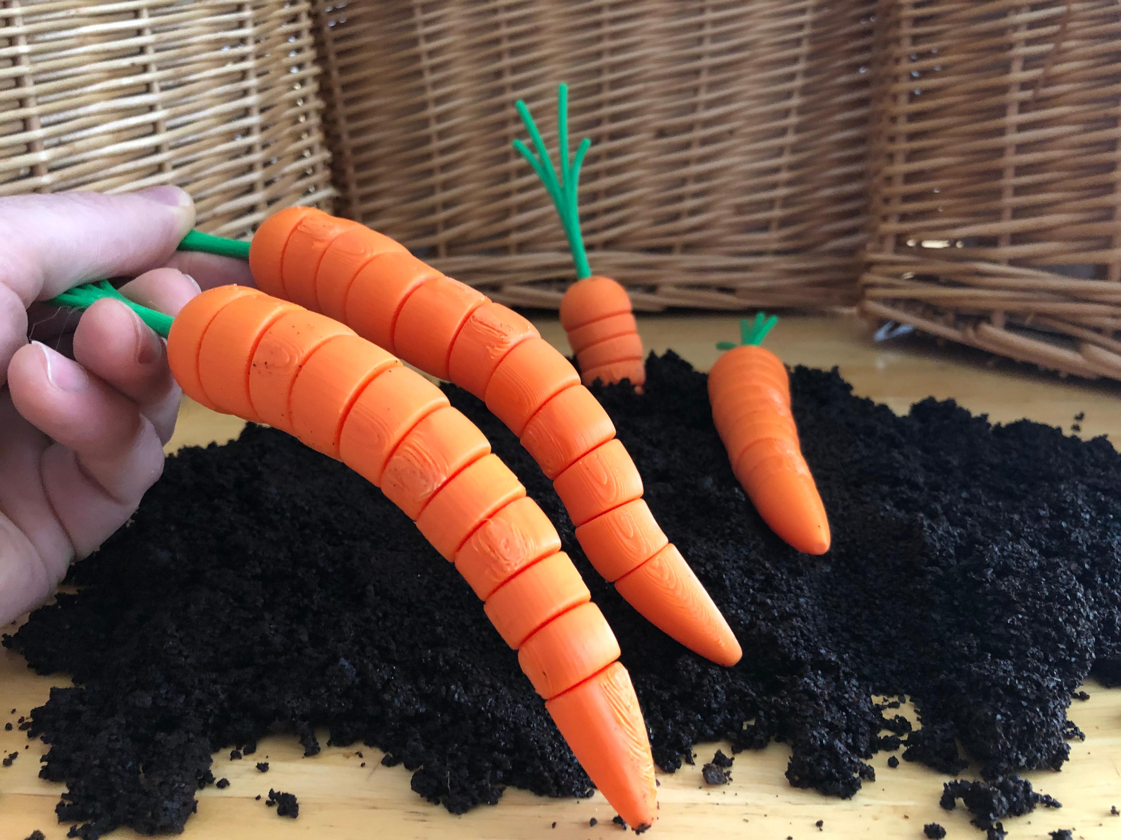 Fidget Carrots 3d model