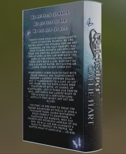 Quicksilver - Book Litho 3d model
