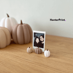 Luxury Pumpkin Place Card & Photo Holder Bundle | Set of 3 Pumpkin Holders | STL Files for 3D Printi 3d model