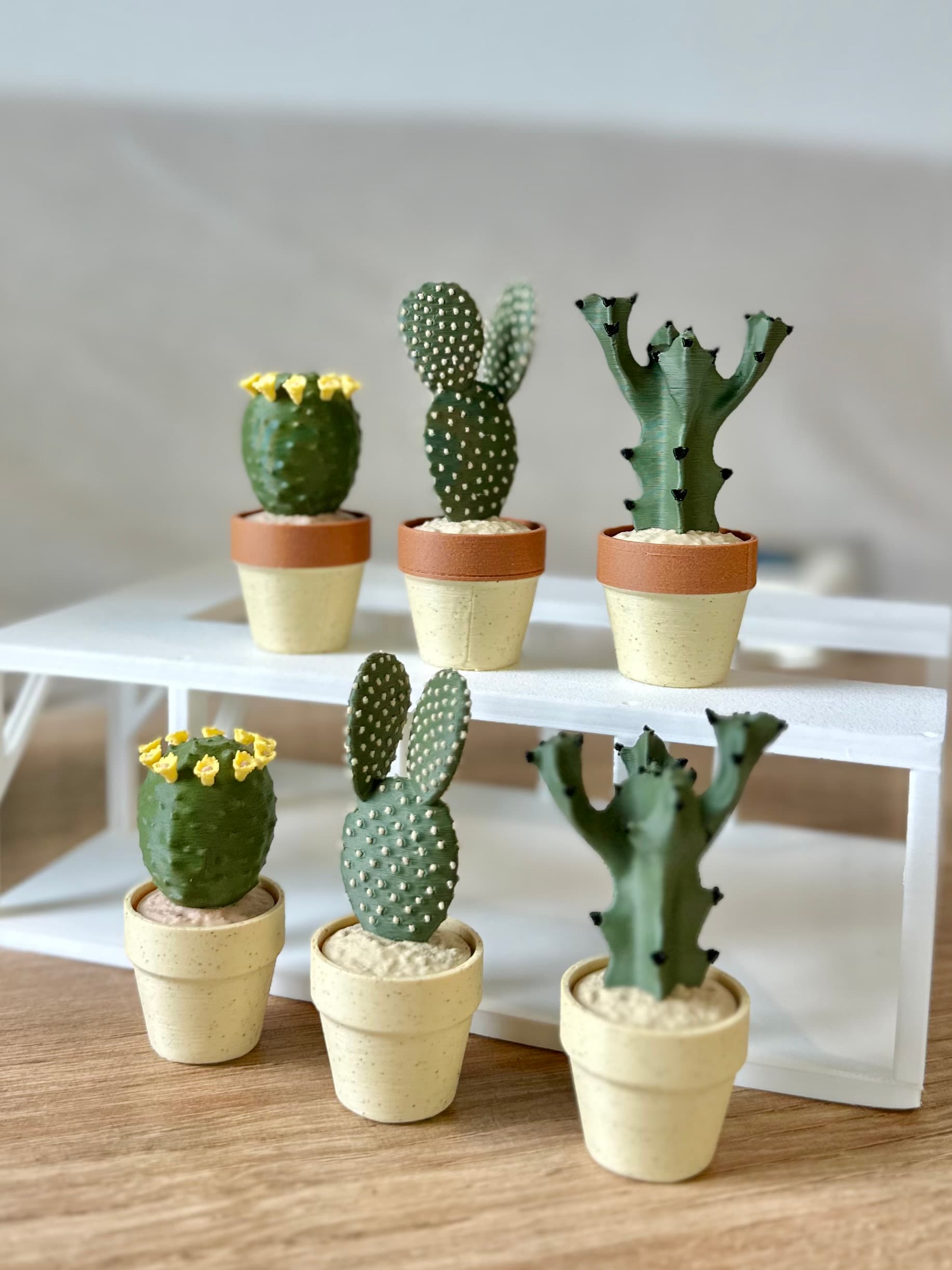 Another cute addition to the clicky cacti sets! Thank you so much! 🥰
