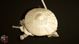 Kaigen Mycoro of the Mycōjin 3d model