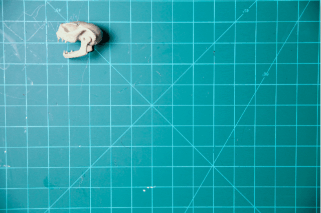 Skelethon - Aesop Rock 3d model
