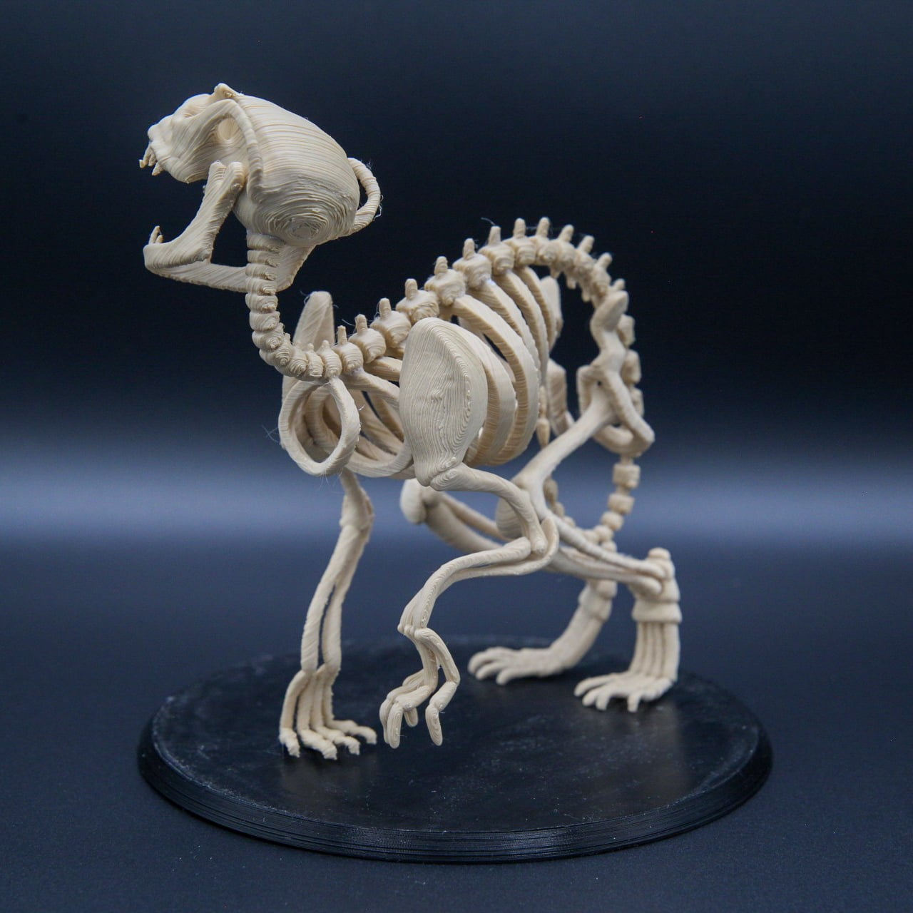 Skelethon - Aesop Rock 3d model