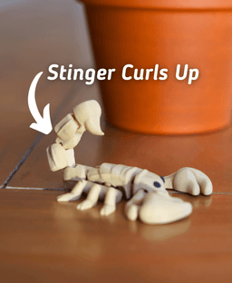 Stinging Scorpion- Articulated Fidget Scorpion - Ludo 3D Printed Flexi Fidget Toy 3d model