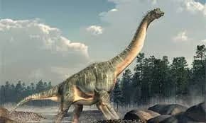 brachiosaurus 3d model