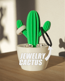 Jewelry Cactus - Jewelry Box 3d model