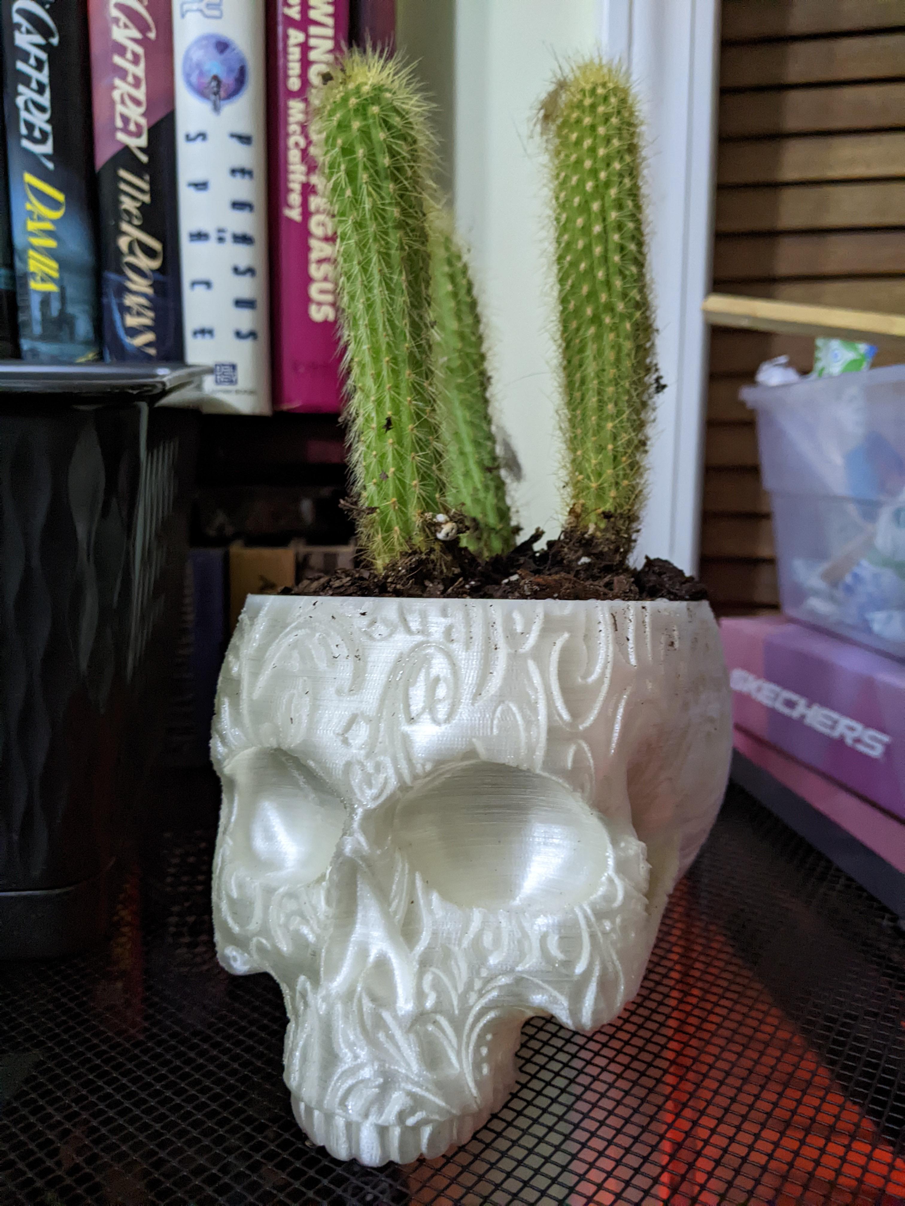 Swirly Leaves Skull Planter-Bowl 3d model