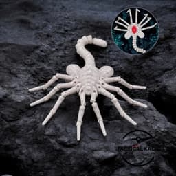 Facehugger Alien Flexi Print in Place 3d model
