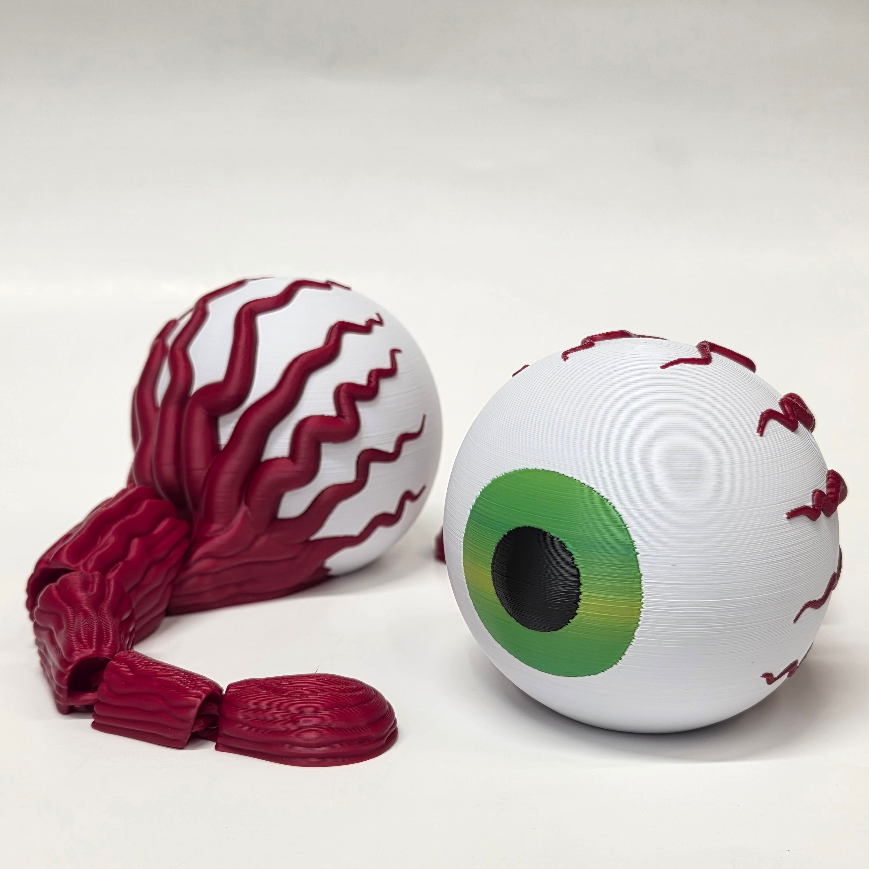 Flexi Eyeball - The Cyclops Eye 3d model