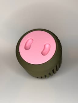 Slope Planter with Hidden "Pig Nose" Drip Tray 3d model