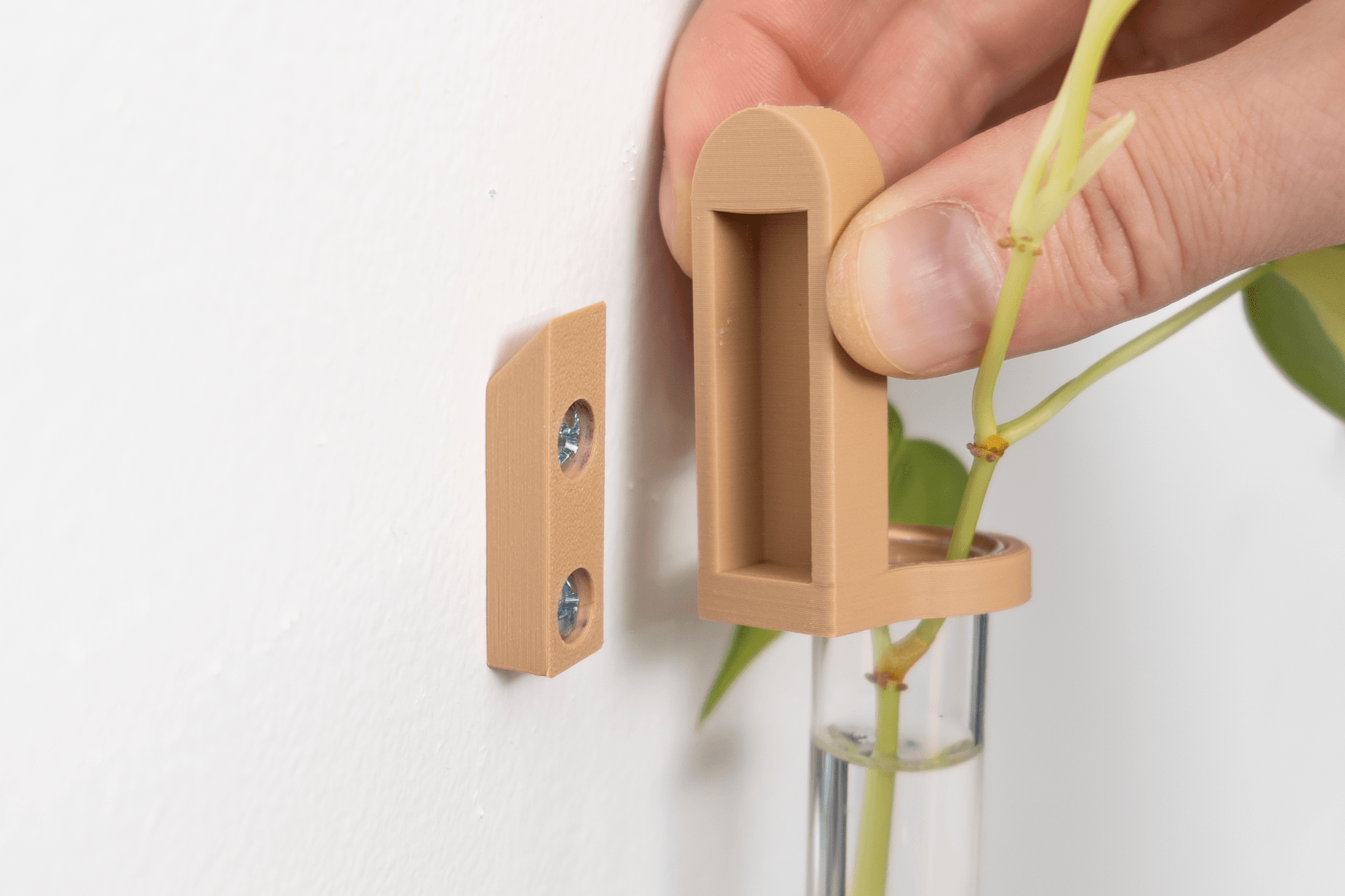 Test Tube Propagation Mount 3d model