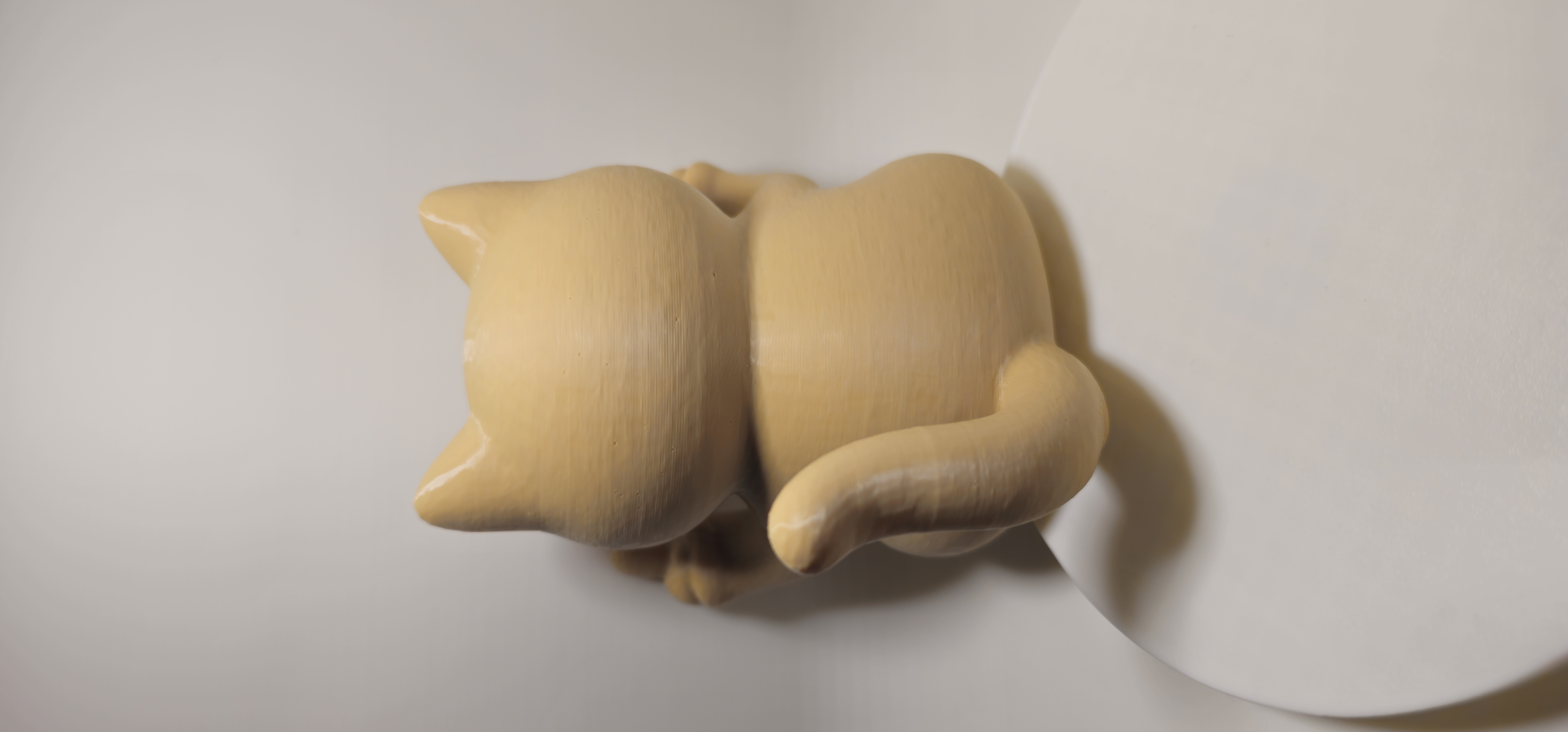 Sassy Cat 3d model