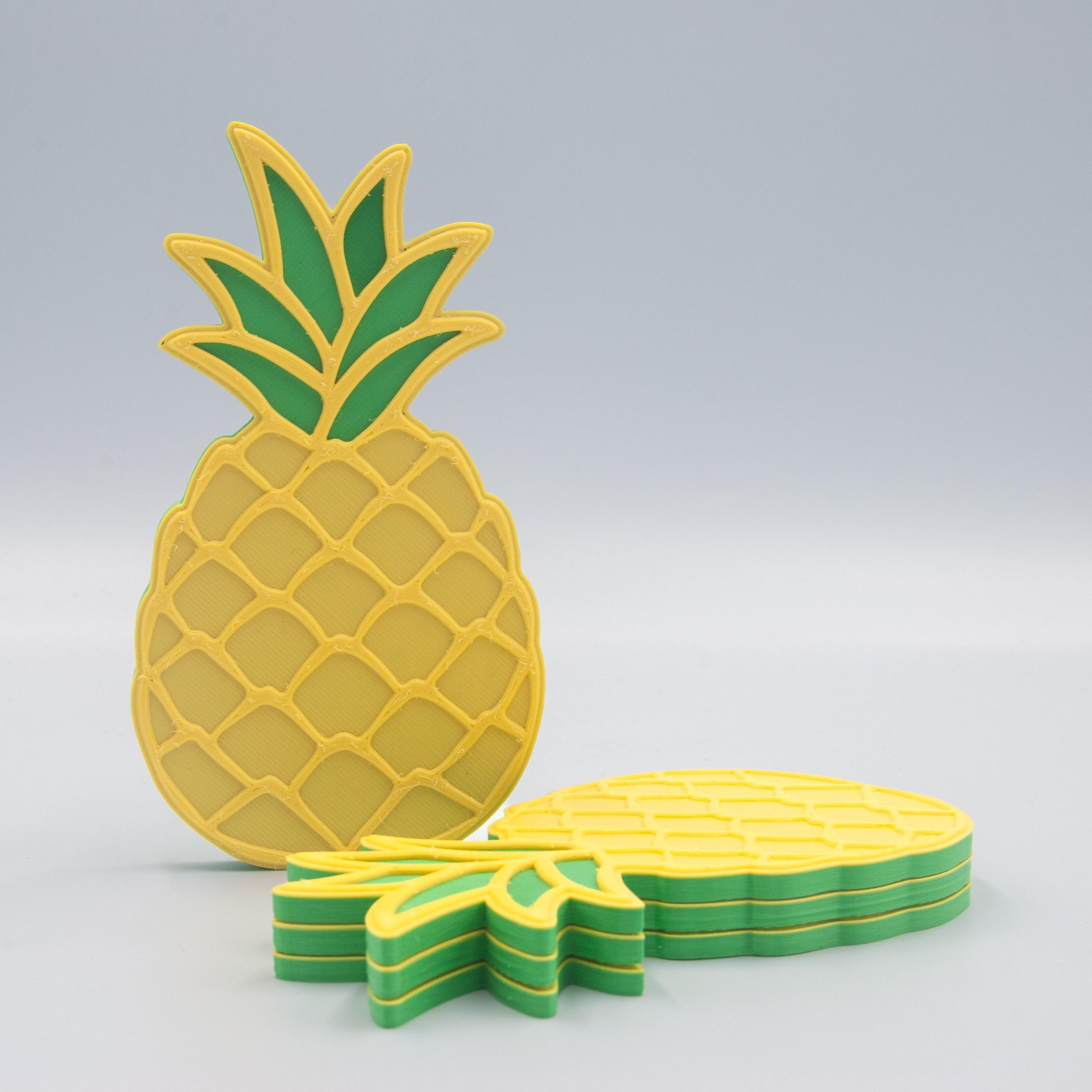 Magnetic Pineapple Coaster Set 3d model