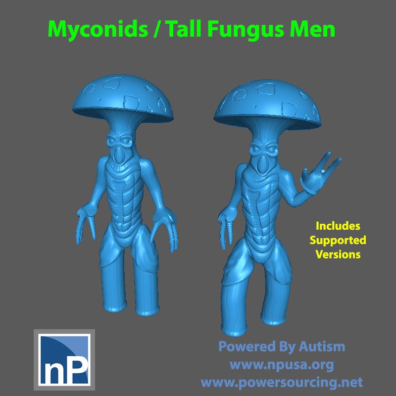 Fungus - Mushroom Men 3d model