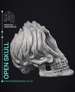 Open Skull - Sculpture 3d model