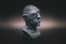 Burlap Bust (Pre Supported) 3d model