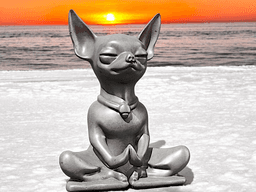 Chihuahua Meditating 3d model