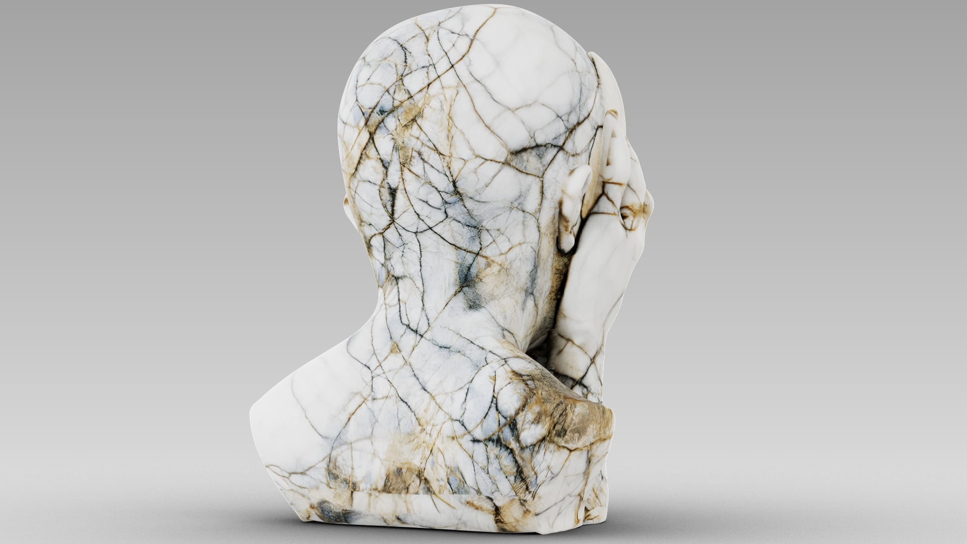 Fragmented Mind 3d model