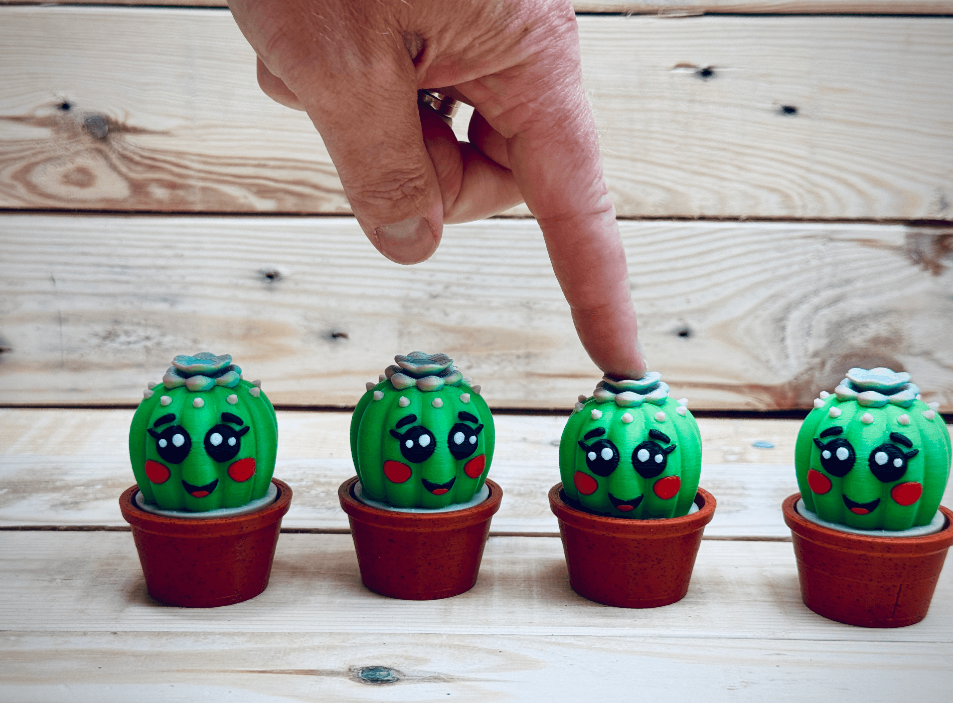 Clicky Cactus 3d model