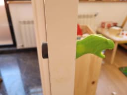 Low Poly T-REX Dinosaur Door Handle / hook - M6 3d model