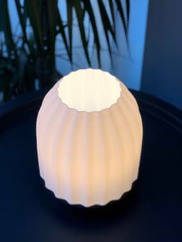 Modern Bedside/Table Lamp - Cactus 3d model