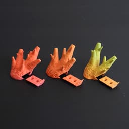Wall coat hook “caliendrum coral” 3d model