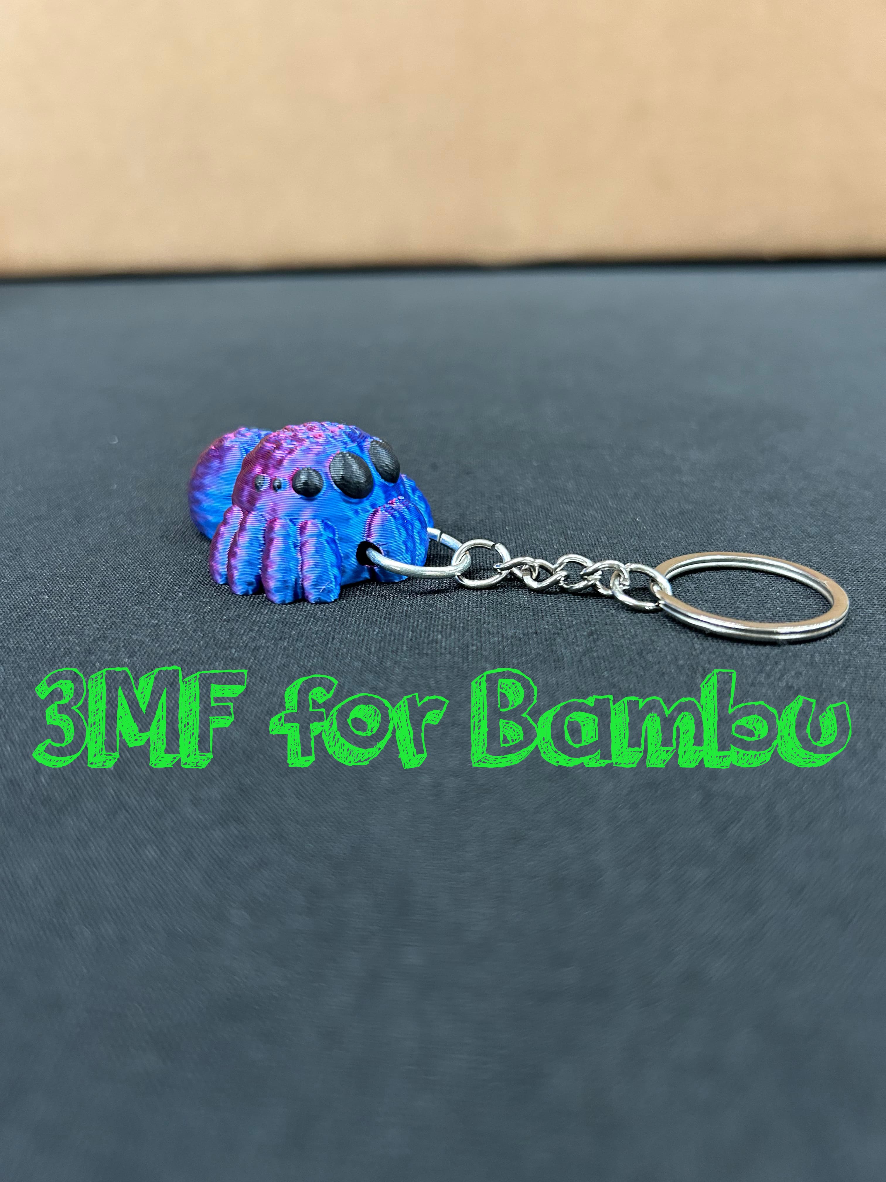 Hairy Spider front keychain ams 3d model