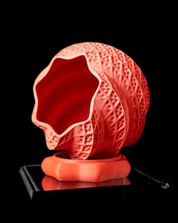 Shell Planter Pot by MODERN MACHINE 3d model