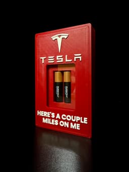 Tesla Range Extender - AA Edition 3d model