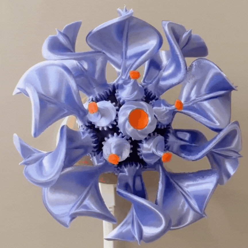 May Floramorph 3d model