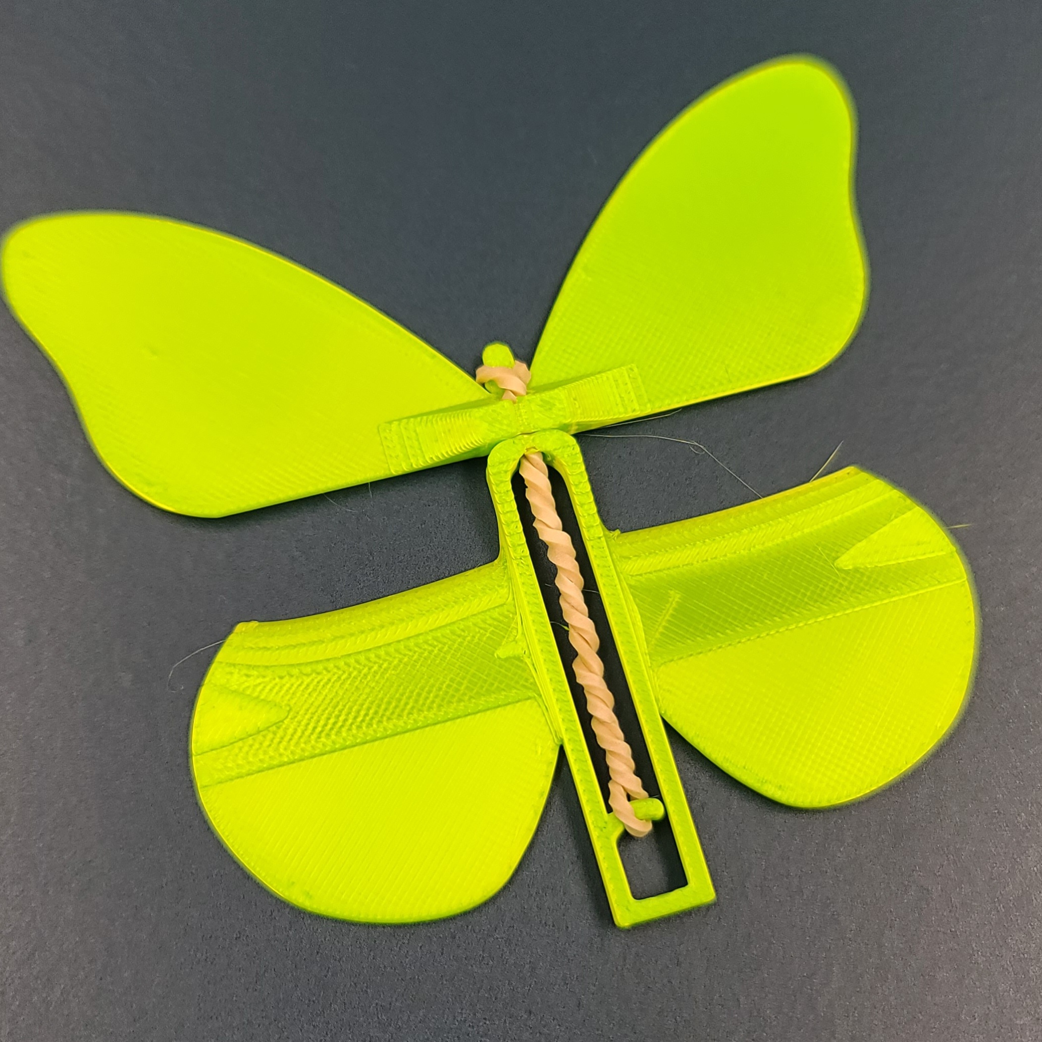 Butter-Fly Flippers! 3d model