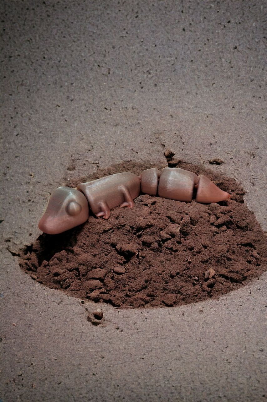 Cute Flexi Gecko 3d model