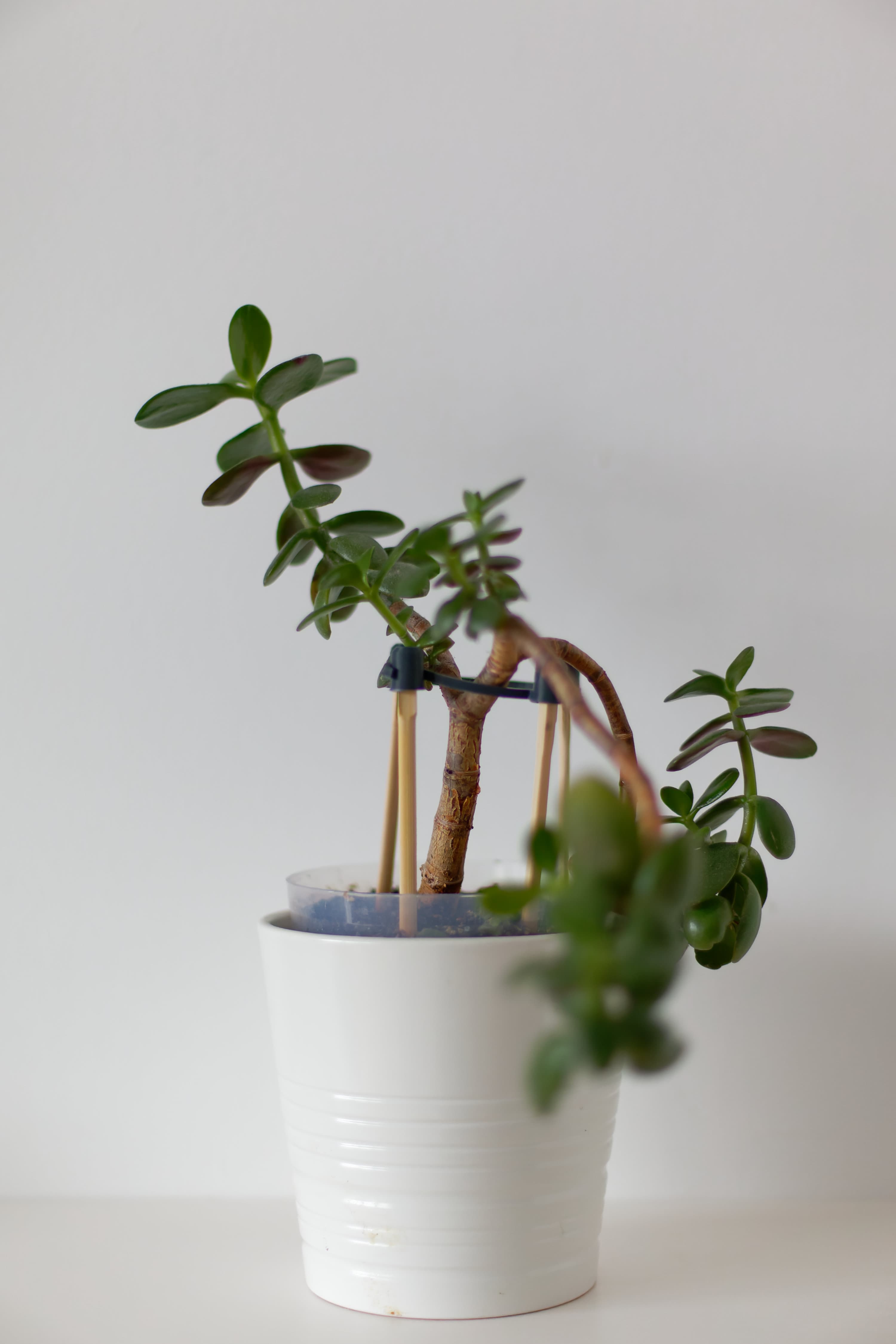 Flower supports 3d model