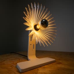SUNFLOWER 3d model