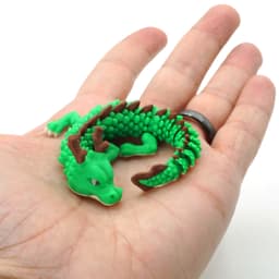 Dragon Jr 3d model