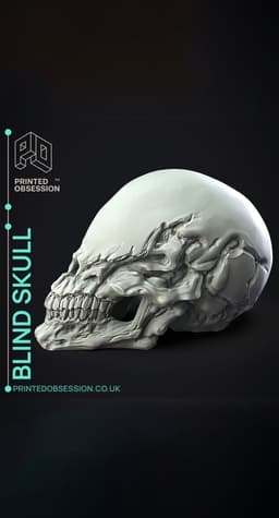 Blind Skull - Sculpture 3d model