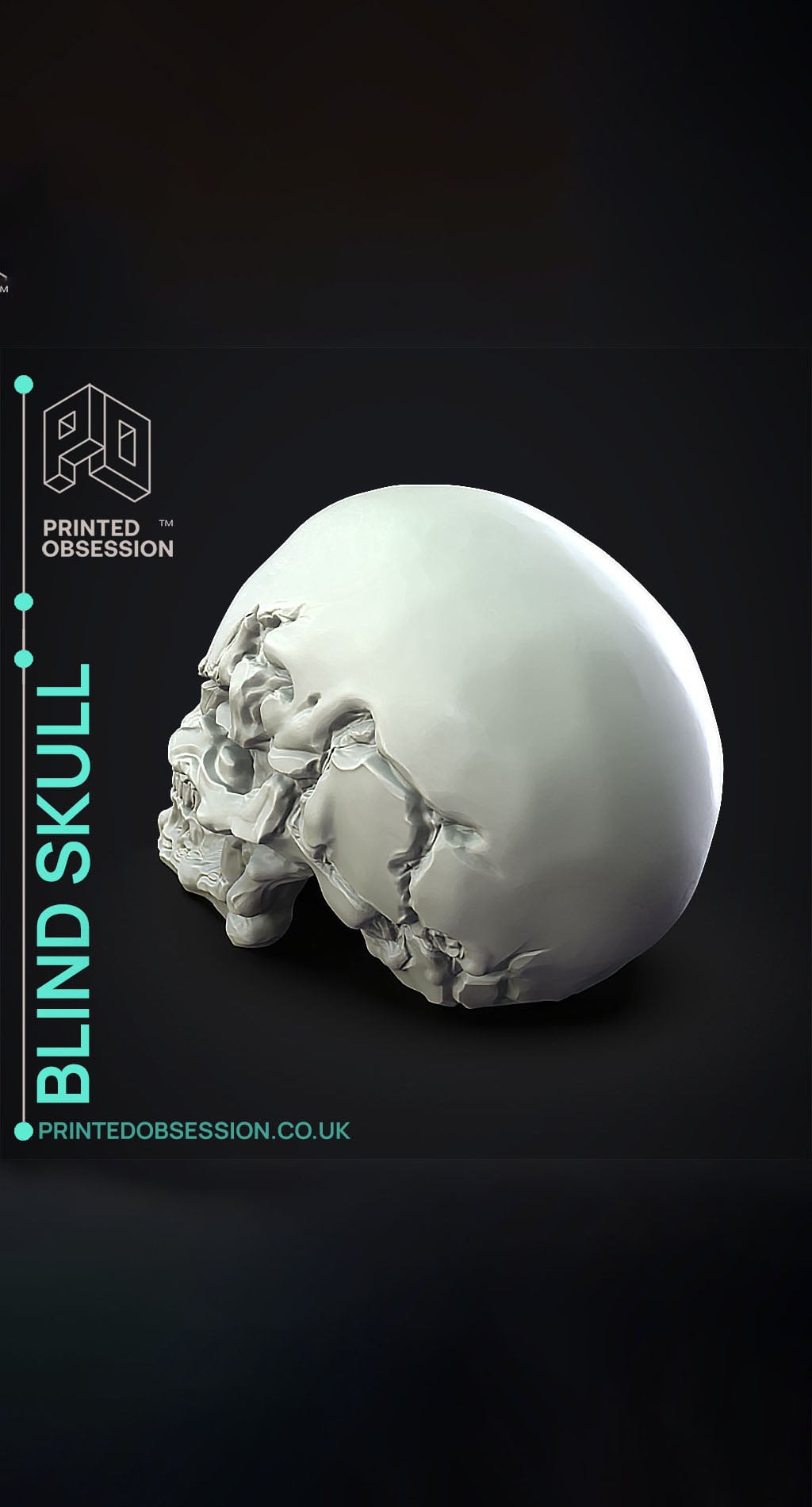 Blind Skull - Sculpture 3d model