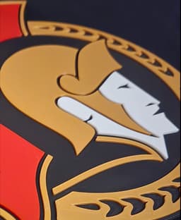 Ottawa Senators 3d model