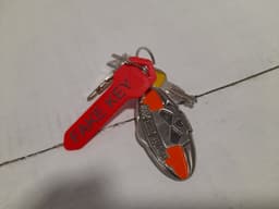 fake key keychain 3d model