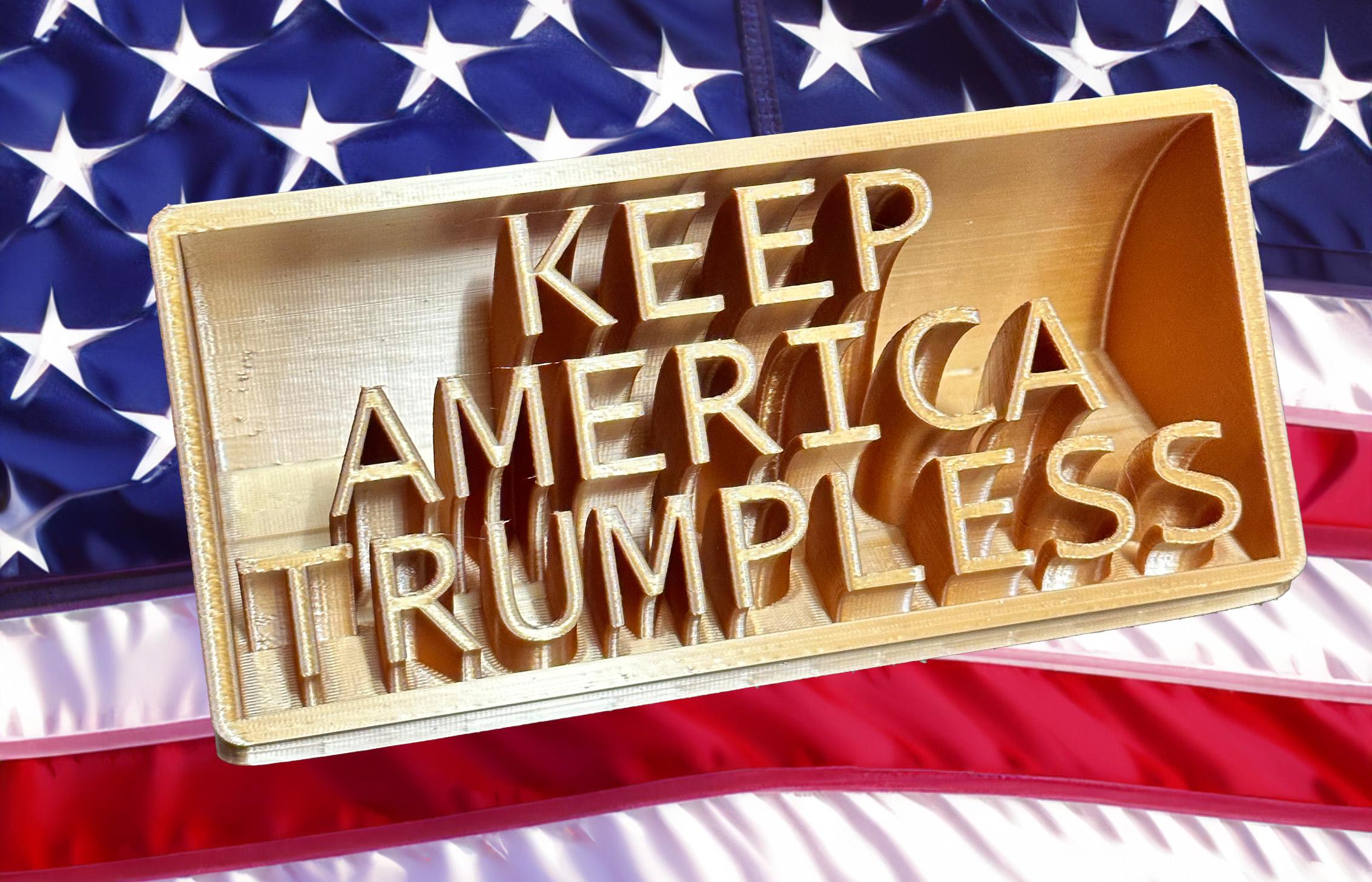 Keep America Trumpless 3d model