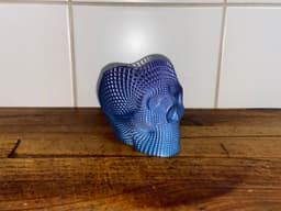 Wireframe skull pencil holder 3d model