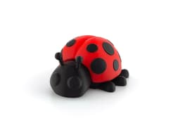 Ladybug 3d model