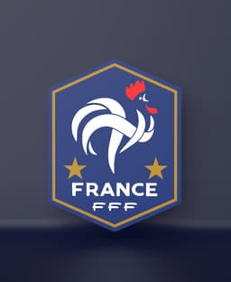 France National Team (FFF) - LED strip compatible 3d model