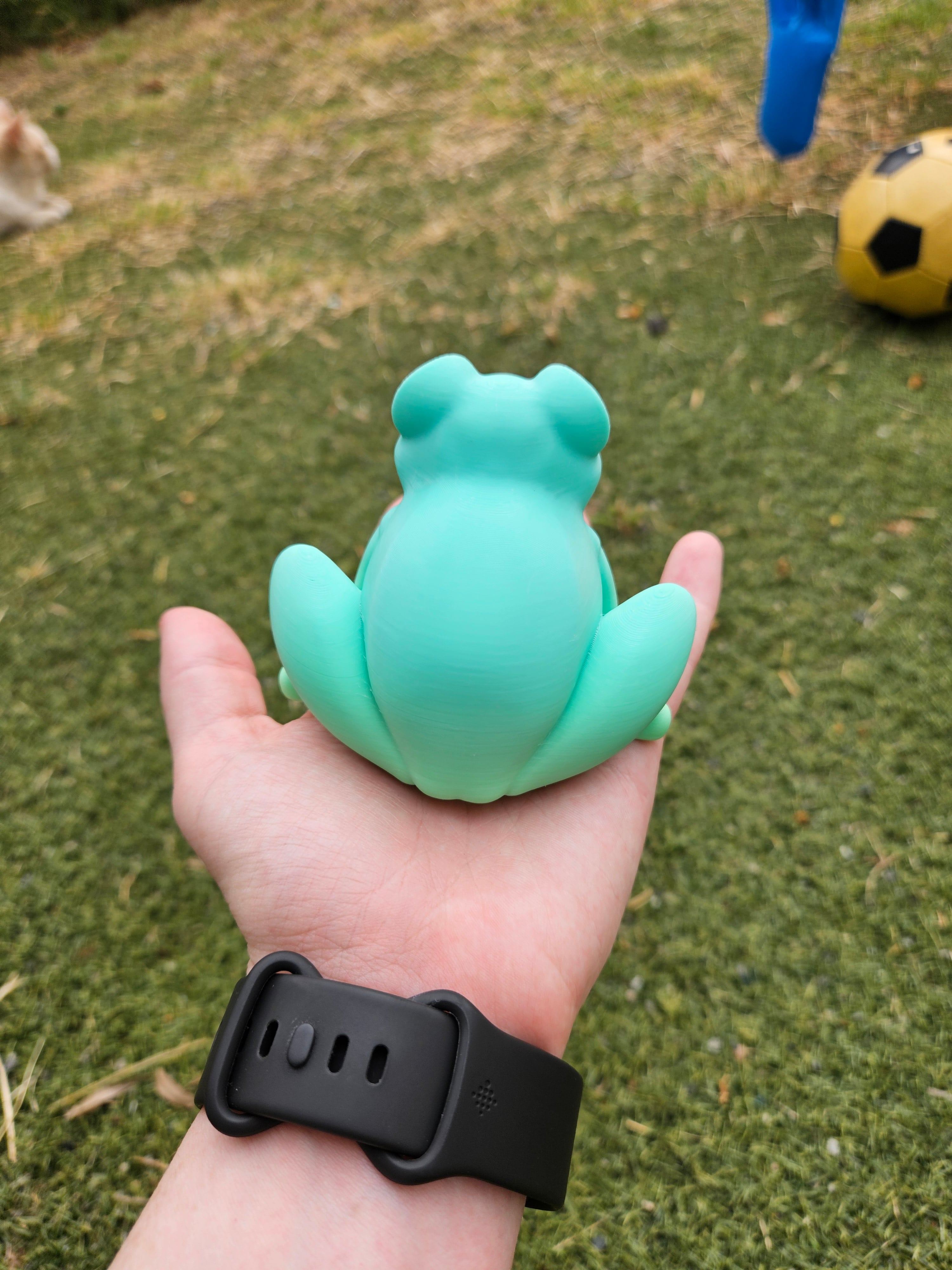 Desk Buddy Frog - magnet custom hats 3d model