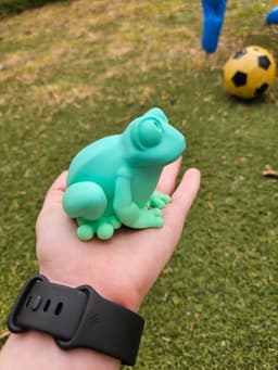 Desk Buddy Frog - magnet custom hats 3d model