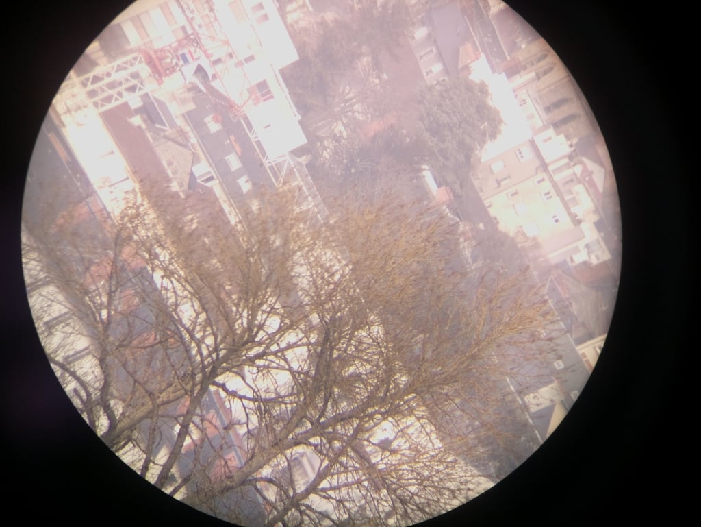 Pi camera celestron support 3d model