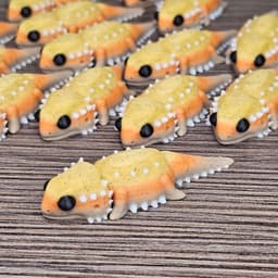 MiniMonster#5 Bearded Dragon Flexi Articulated 3d model
