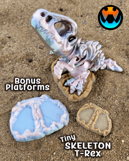 Tiny Skeleton T-Rex 3d model